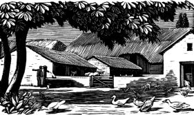 wood-engraving original print: Farmyard for Farmer's Glory